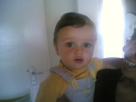 mon petit poussin